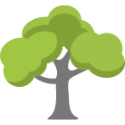Smyrna Tree Trimming