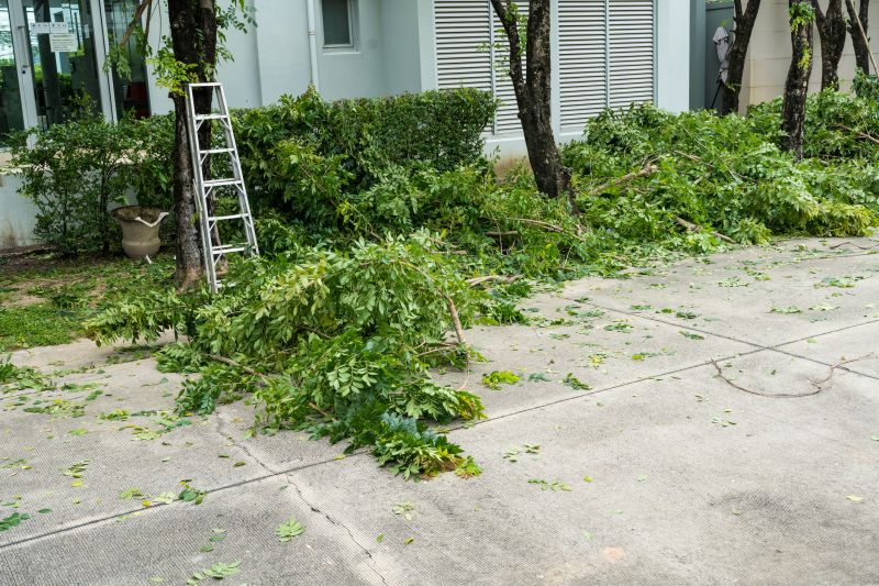 Storm Damage Cleanup