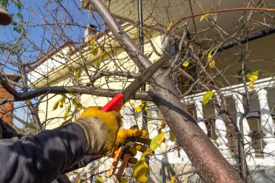 Structural Pruning