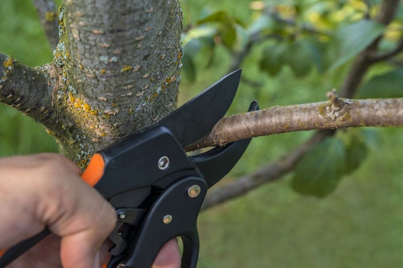 Pruning Tools in Use